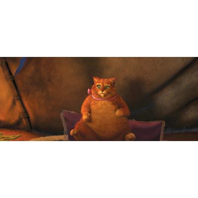 シュレック フォーエバー ブルーレイ＆DVDセット（2枚組