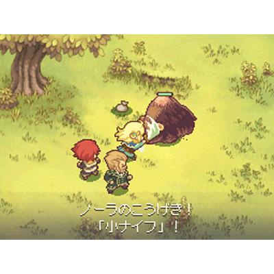 ノーラと刻の工房 霧の森の魔女 : Game Soft (Nintendo DS ...