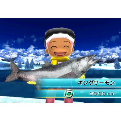 ファミリーフィッシング (ソフト単品版) : Game Soft (Wii