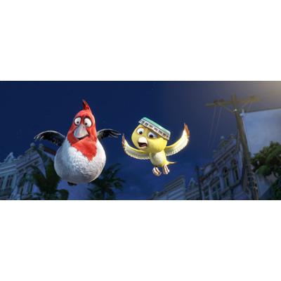 ブルー 初めての空へ DVD&ブルーレイセット | HMV&BOOKS online