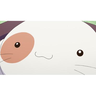 Amazon.co.jp: ましろ色シンフォニー Vol.5 [DVD] : 水島大宙