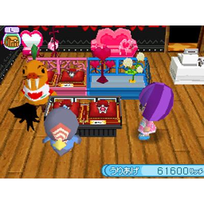 とんがりボウシとおしゃれな魔法使い : Game Soft (Nintendo DS