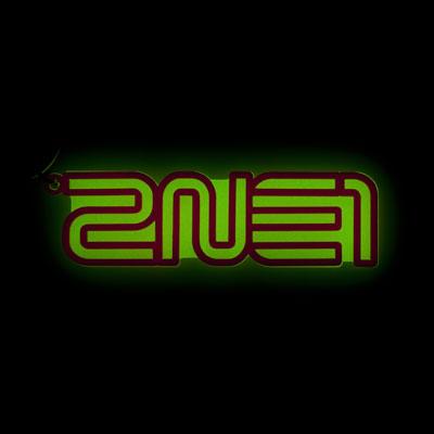 (値下げ中)2NE1 1st japan tour NOLZA 公式グッズ ストラップキーホルダー: 2NE1 1st Japan Tour “NOLZA in Japan