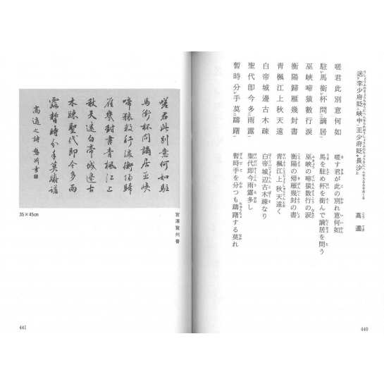 墨場必携唐詩選律詩を書く 新装版 : 日本習字普及協会 | HMV&BOOKS online - 9784819502894