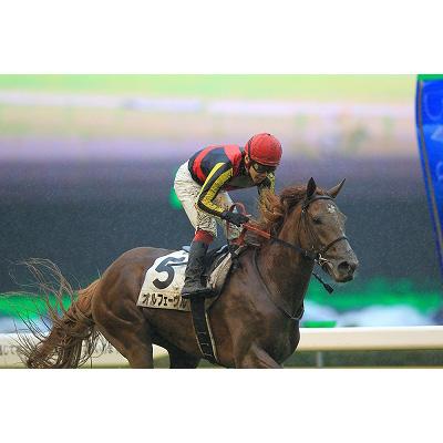 中央競馬GIレース2011総集編 : 競馬 | HMVu0026BOOKS online - PCBG-11159