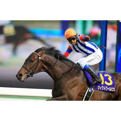 DVD★ヴィクトワールピサ ドバイに咲いた大輪 競馬 JRA★国内正規品 ヴィクトワールピサ ドバイに咲いた大輪 : 競馬 | HMV&BOOKS