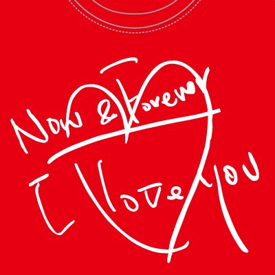 桑田佳祐ツアーグッズ ツアーTシャツ【L】 : T-shirt