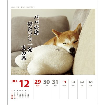犬川柳 週めくり 13年カレンダー Calendar Hmv Books Online 13cl344