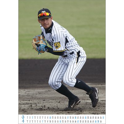 鳥谷 敬(阪神タイガース)/ 2013年カレンダー : Calendar