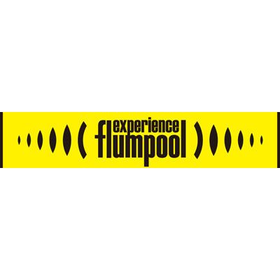 ローソン Hmv限定盤 予約限定販売 Experience Dvd付初回限定盤 オリジナルマフラータオル Flumpool Hmv Books Online Azzs13