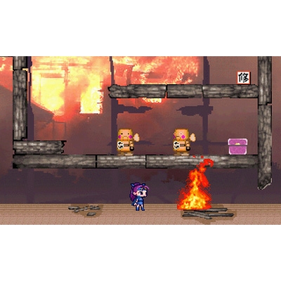 忍者じゃじゃ丸くん さくら姫と火竜のひみつ : Game Soft (Nintendo
