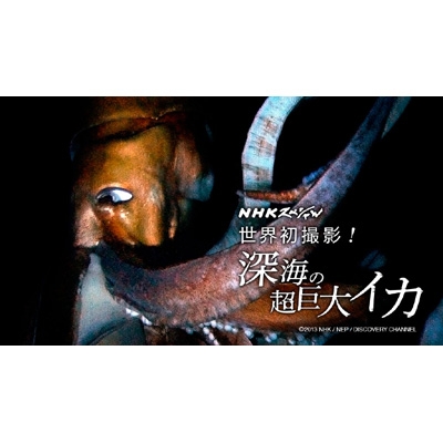 中古 盤質a Nhkスペシャル 世界初撮影 深海の超巨大イカ Nhkスペシャル Hmv Books Online Nsbs