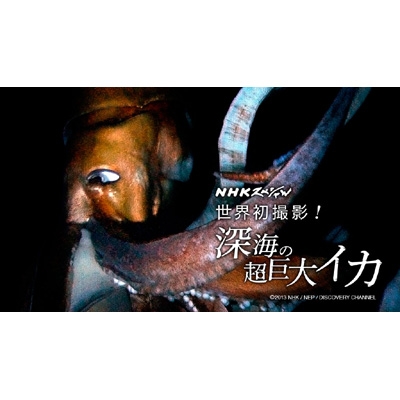 NHKスペシャル 世界初撮影!深海の超巨大イカ : NHKスペシャル | HMVu0026BOOKS online - NSDS-18562