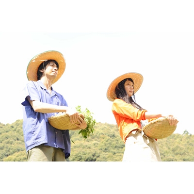 1 DVD パーフェクト・レボリューション 東映ビデオ リリー