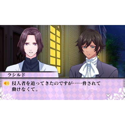 魔界王子 devils and realist 代理王の秘宝 : Game Soft (Nintendo 3DS