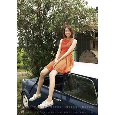 新垣結衣 / 2014年カレンダー : 新垣結衣 | HMV&BOOKS online