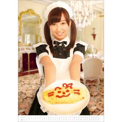 飯田里穂 / 2014年カレンダー : 飯田里穂 | HMV&BOOKS online - 14CL873