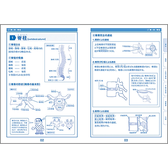 ボーンインパクト イラストと雑学で楽しく学ぶ解剖学2 原田晃 Hmv Books Online