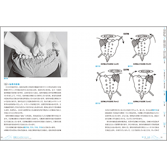 脊椎マニピュレーション 機能障害に対する軟部組織からのアプローチ