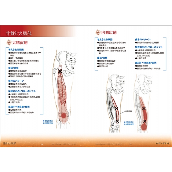 ボディ・ナビゲーションクイックガイド トリガーポイント