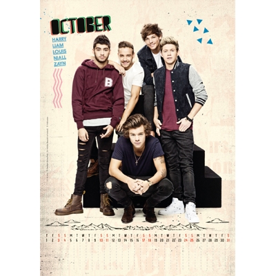 未開封 2015年カレンダー 輸入 ワン・ダイレクション CL-350 ワン・ダイレクション(D)/ 2015年カレンダー : One Direction
