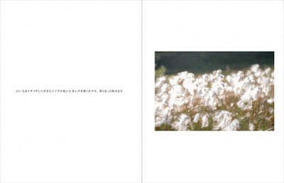 きらきら : イケムラレイコ / 川内倫子 | HMV&BOOKS online