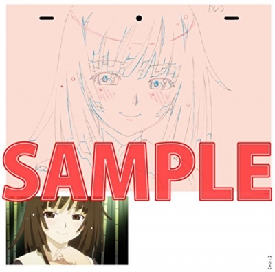 Amazon.co.jp: 化物語 KEY ANIMATION NOTE 上巻 : 本