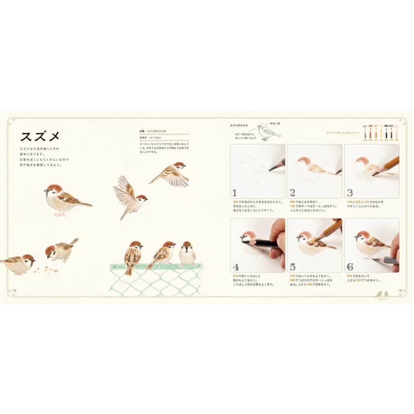 色えんぴつでかわいい鳥たち はじめてのレッスン 秋草愛 Hmv Books Online