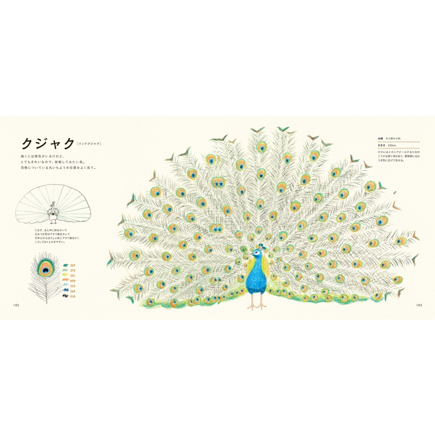 色えんぴつでかわいい鳥たち はじめてのレッスン 秋草愛 Hmv Books Online