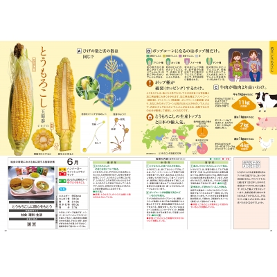 食育早わかり図鑑 給食時間の5分間指導 : 藤原勝子 | HMV&BOOKS online