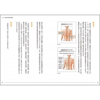 よくわかる長野式治療 日本鍼灸のスタンダードをめざして : 長野康司