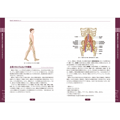 目醒める!大腰筋 コアを鍛えて内面から身心を改善 : ジョアン 