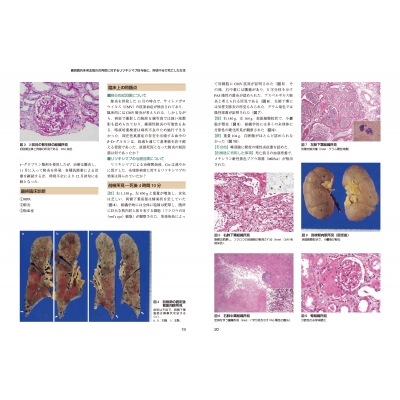 犬の臨床病理マニュアル 犬の臨床病理マニュアル [単行本] 大石勇 : ブックスドリーム 学