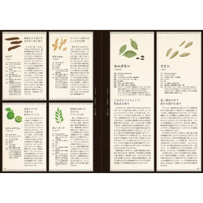 いちばんやさしい スパイスの教科書 : 水野仁輔 | HMV&BOOKS online