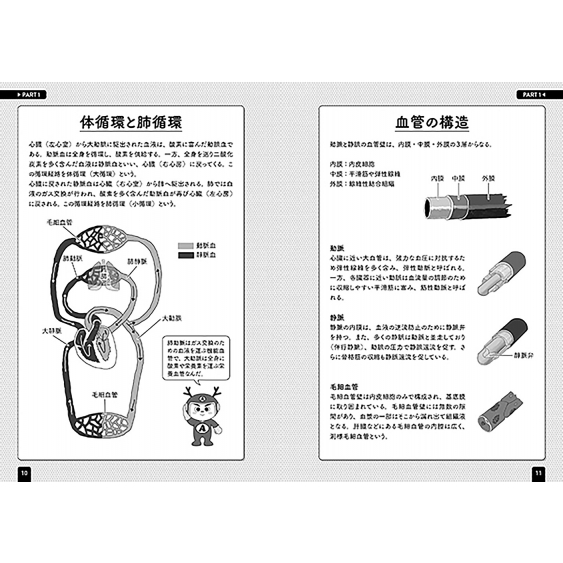 血管インパクト イラストと雑学で楽しく学ぶ解剖学 原田晃 Hmv Books Online