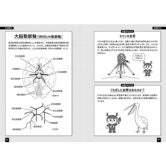 血管インパクト イラストと雑学で楽しく学ぶ解剖学 原田晃 Hmv Books Online