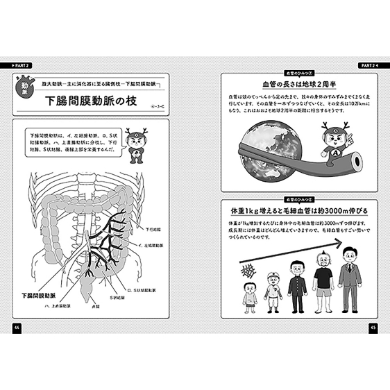 血管インパクト イラストと雑学で楽しく学ぶ解剖学 原田晃 Hmv Books Online