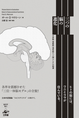 三つの脳の進化 反射脳 情動脳 理性脳と 人間らしさ の起源 ポール D マクリーン Hmv Books Online