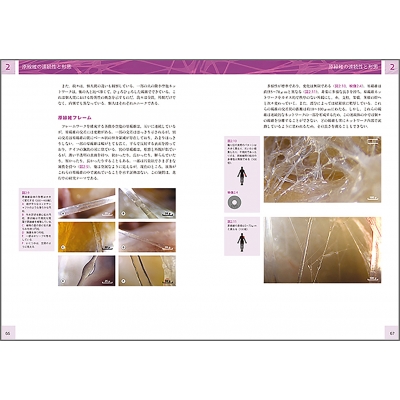 人の生きた筋膜の構造(DVD付き) 内視鏡検査を通して示される細胞外マトリックスと細胞 人の生きた筋膜の構造(DVD付き) 内視鏡検査を通して示される細胞