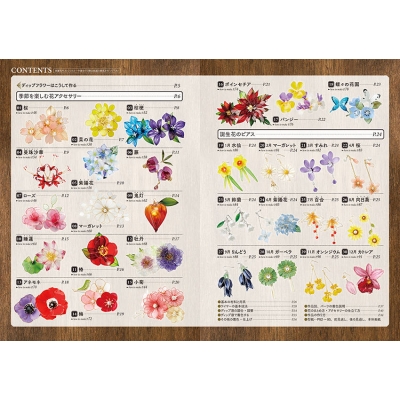 Stocks at Physical HMV STORE] ディップフラワーの教科書 実寸型紙