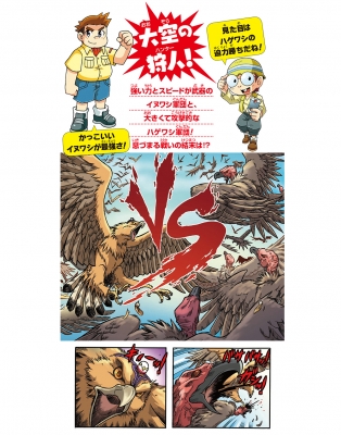 どっちが強い イヌワシvsハゲワシ 空の最強王者バトル 角川まんが科学シリーズ レッドコード Hmv Books Online