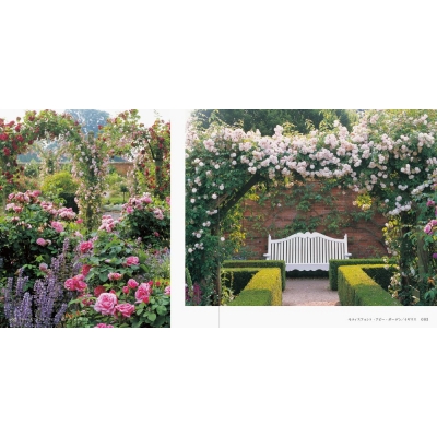 世界の美しいバラの庭 Hmv Books Online