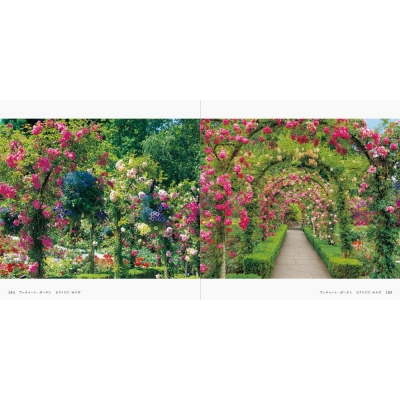 世界の美しいバラの庭 Hmv Books Online