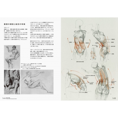 定本 基本の人体デッサン 人体を描くための完全ガイド : ゴット