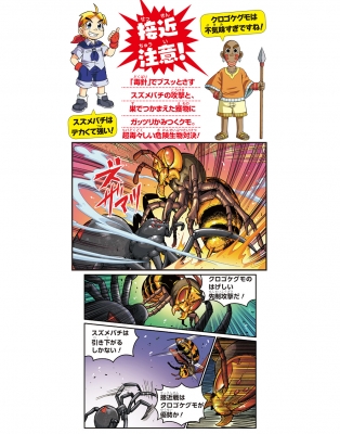 どっちが強い ハチvsクモ 危険生物の必殺バトル 角川まんが科学シリーズ ジノ Hmv Books Online