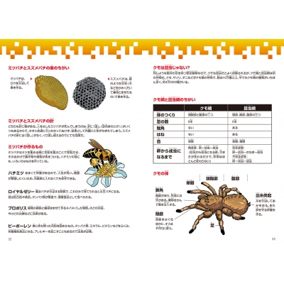 どっちが強い!? ハチVSクモ 危険生物の必殺バトル 角川まんが科学