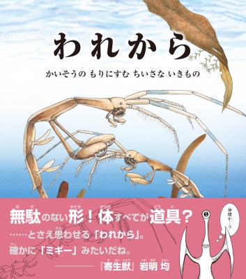 われから かいそうのもりにすむちいさないきもの 海のナンジャコリャーズ 青木優和 Hmv Books Online