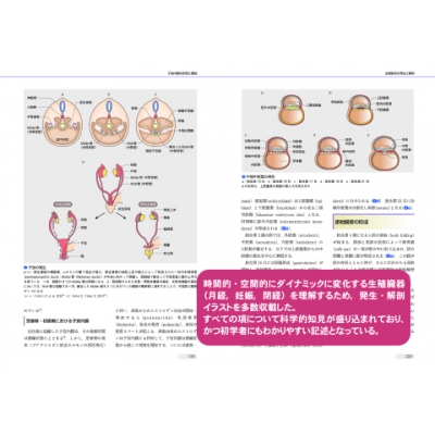 生殖生理 第1巻 Science and Practice 産科婦人科臨床シリーズ