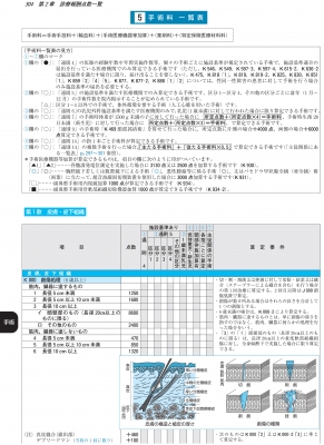 診療報酬・完全攻略マニュアル 2019年4月補訂版 点数表全一覧&レセプト 