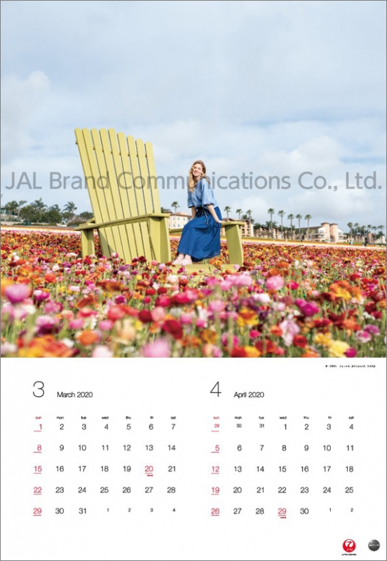 JAL「A WORLD OF BEAUTY」(大型判)/ 2020年カレンダー : 2020年